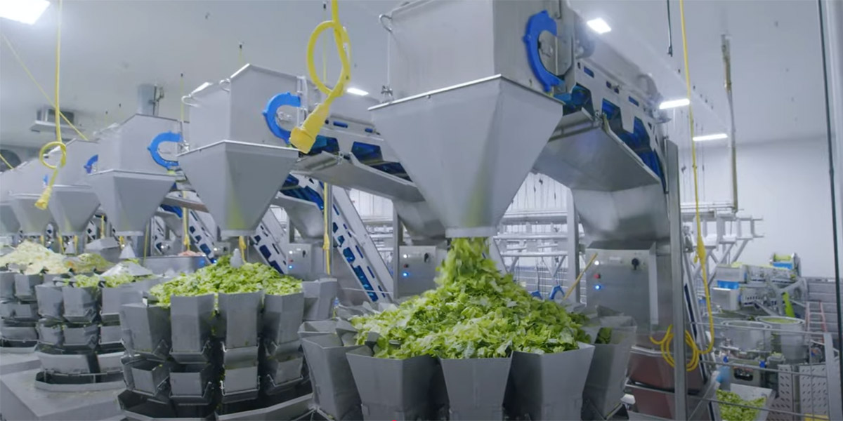 Taylor Farms automatizza la lavorazione delle verdure per il food service